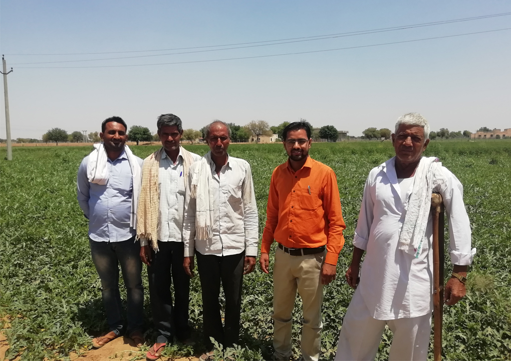 In Field with Farmers